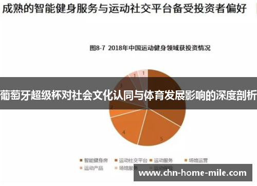 葡萄牙超级杯对社会文化认同与体育发展影响的深度剖析 葡萄牙超级杯对社会文化认同与体育发展影响的深度剖析