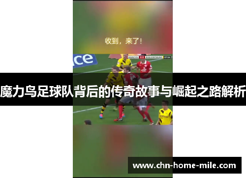 魔力鸟足球队背后的传奇故事与崛起之路解析 魔力鸟足球队背后的传奇故事与崛起之路解析
