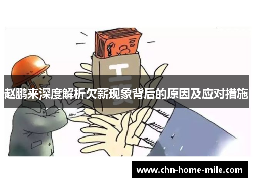 赵鹏来深度解析欠薪现象背后的原因及应对措施