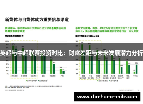 英超与中超联赛投资对比：财富差距与未来发展潜力分析